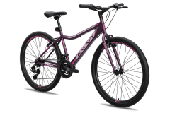 Bicikl GALAXY FESTINA 26"/18