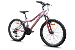 GALAXY FESTINA FS 24"/18